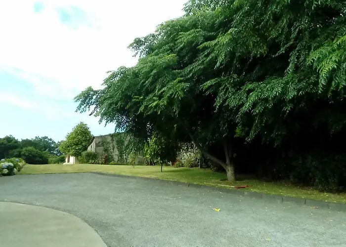 Alice's House Гостевой дом