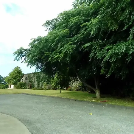 Alice's House Affittacamere